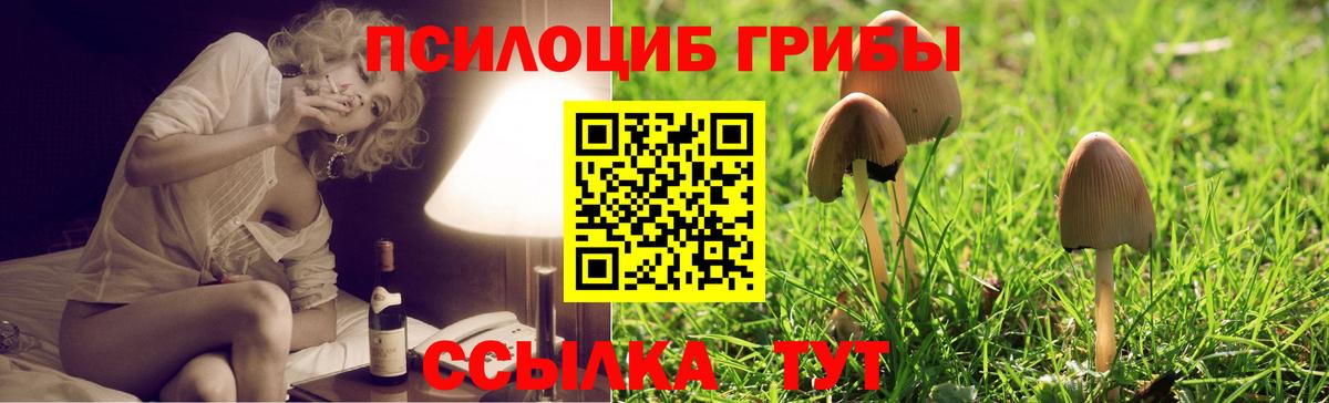 Галлюциногенные грибы GOLDEN TEACHER Ковров