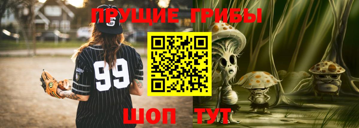 Ковров  Псилоцибиновые грибы прущие грибы  Вход с VPN 